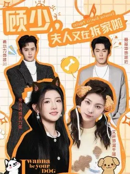【短剧】顾少，夫人又在拆家啦