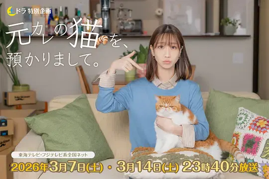 【日本剧】我收留了前男友的猫