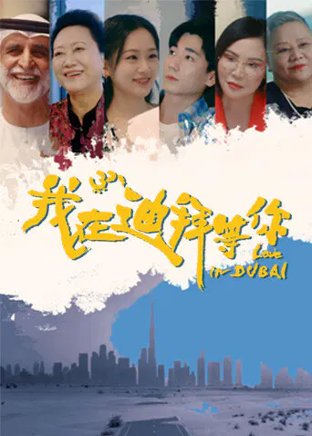 【国产剧】我在迪拜等你