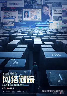 【剧情片】网络谜踪